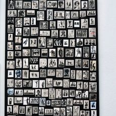 43